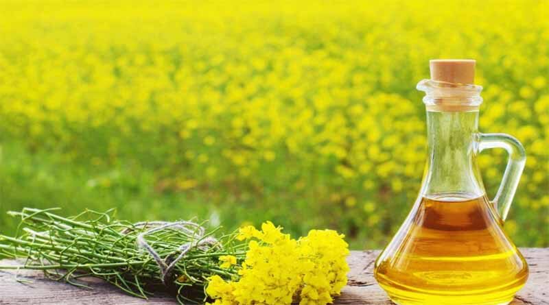 Mustard oil due would be deposited two months through DBT: Punjab Govt