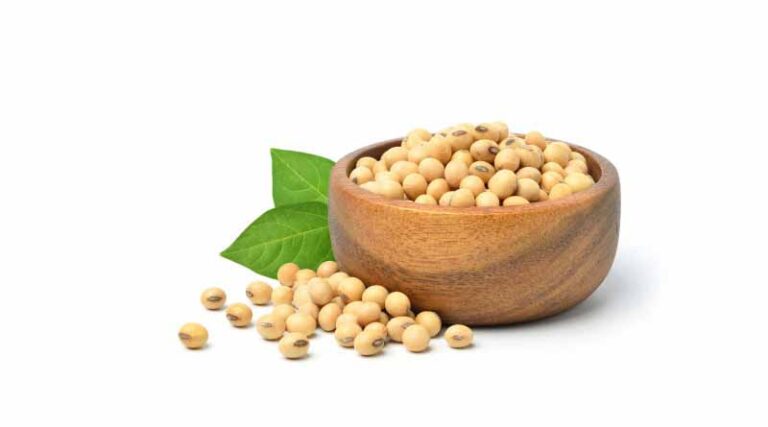 Latest estimates of Supply and Demand of Soybean and Soybean Meal for the oil year 2020-2021