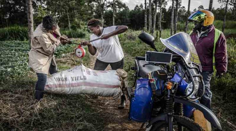 Young people and innovation must drive Africa’s agri-food systems transformation