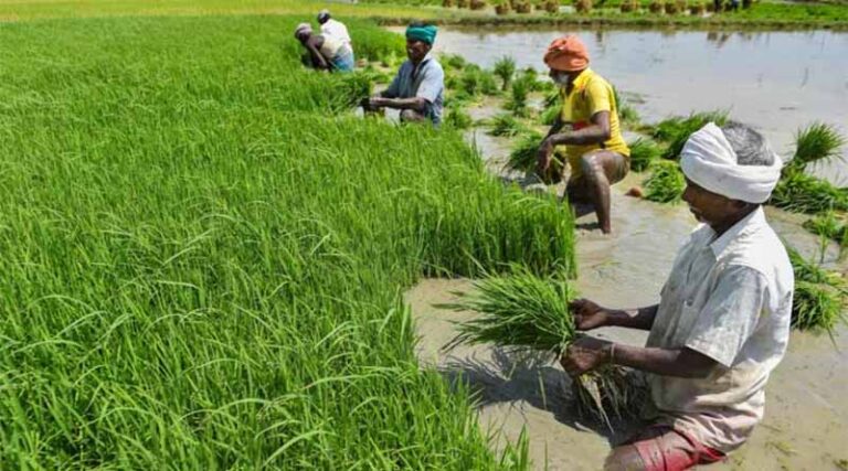 Guarantee of MSP to Farmers