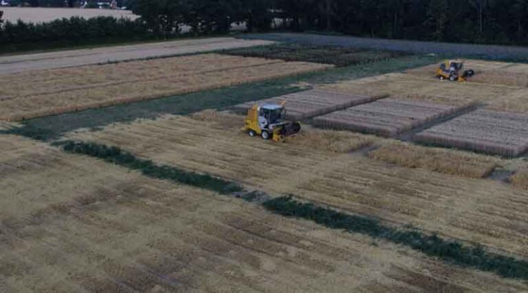 Celebrating the heroes of harvest