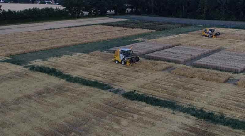 Celebrating the heroes of harvest