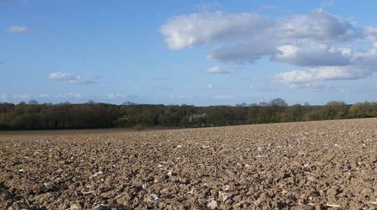 Time for treatment to target ryegrass herbicides