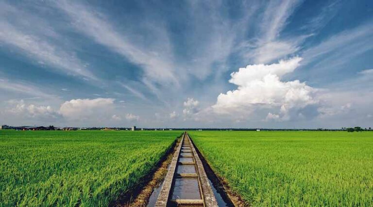 Farmer Producer Organisations (FPOs) formed in India up till 2020