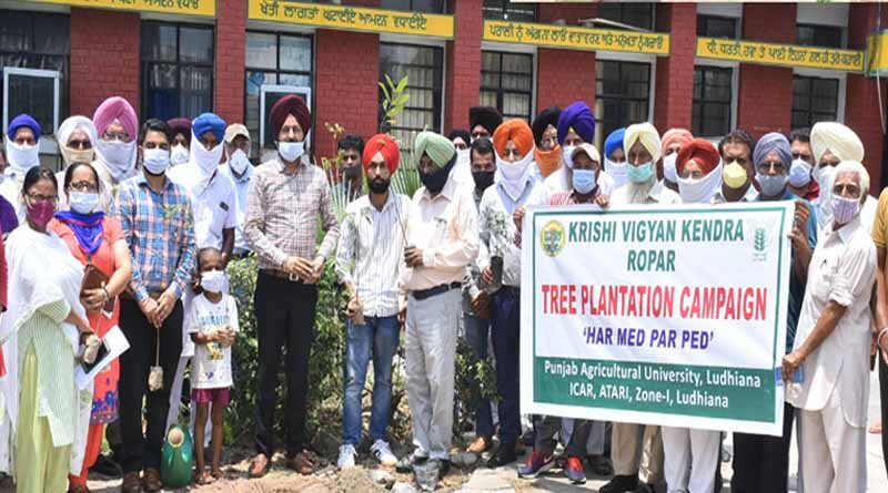 KVK ROPAR organized a campaign on tree plantation