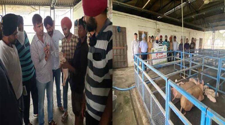 Vocational Training Course on Pig Farming at KVK, Fatehgarh Sahib
