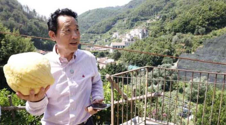 FAO Director-General in visit to small-scale agricultural producers in southern Italy highlights sustainability best practices