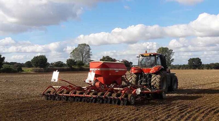 Seed bank interest pays dividends for black-grass control