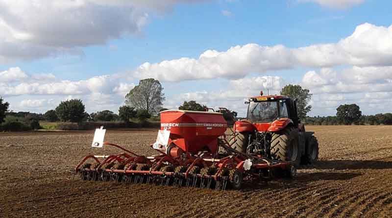 Seed bank interest pays dividends for black-grass control
