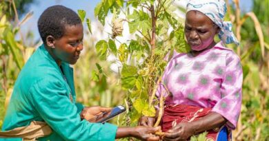 New PlantwisePlus programme launched to help farmers produce more and higher quality food