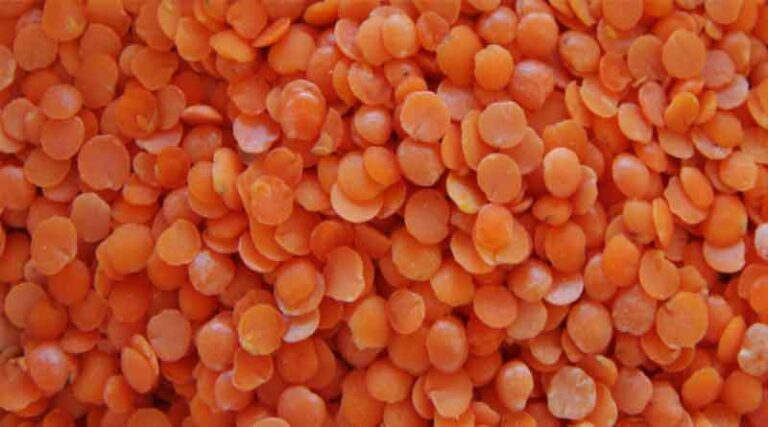 Centre reduces import duty on masur dal to zero, halves Agriculture Infrastructure Development Cess on the lentil