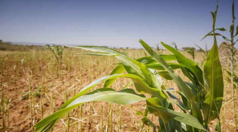 Managing disputes under the new farm law