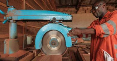 Increasing legality and transparency in the timber trade