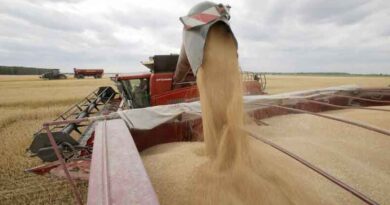 OECD-FAO Agricultural Outlook presents production, consumption, trade and price trends for the coming decade