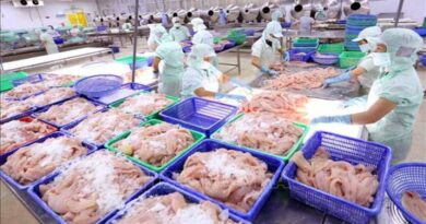 Vietnam’s aquatic export targets 9 billion USD in 2021