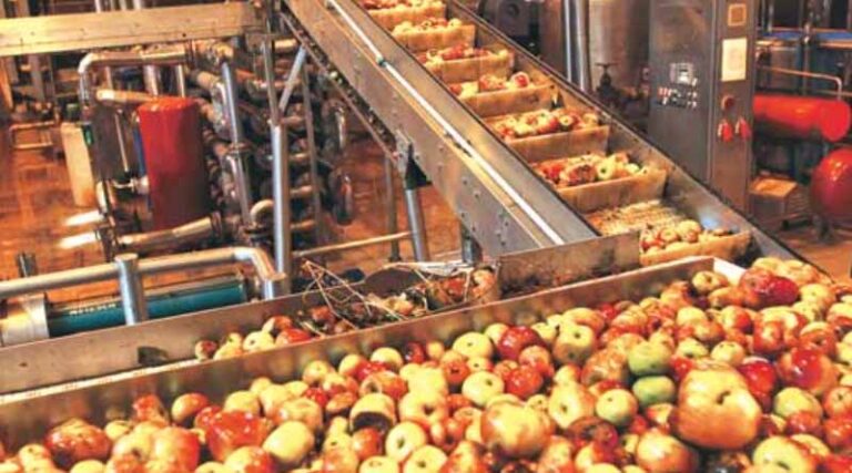 More than 6 lakhs direct and indirect employment generated through the 22 operational Mega Food Parks
