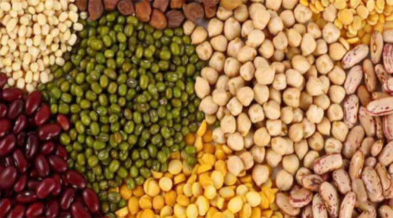 Processing of agro-products in rural areas of Maharashtra