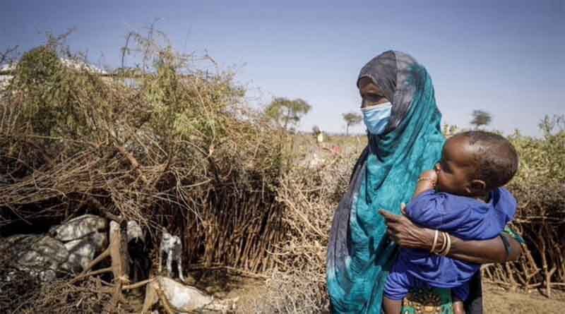 Famine relief blocked by bullets, red tape and lack of funding: FAO