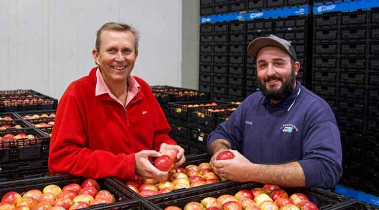 New chemistry proves tough on pests, soft on beneficials in apple orchards