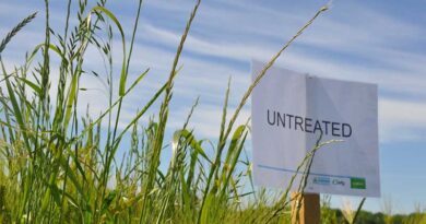 Trials show hybrid strategy boosts ryegrass reduction
