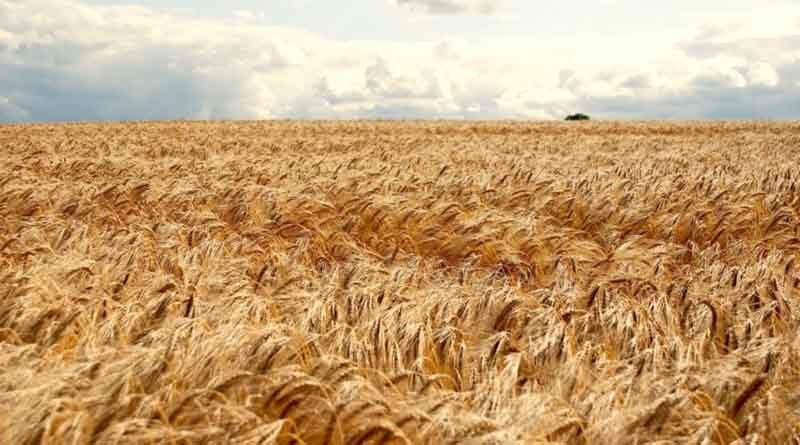 Haryana leading in getting financial assistance from NABARD