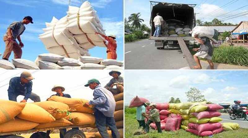 Agro-forestry exports increased sharply after the EVFTA came into effect