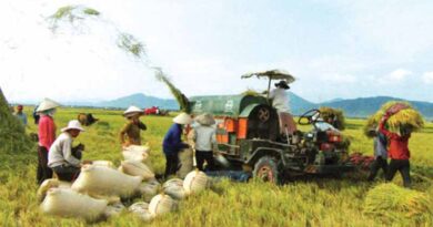 China to buy summer-autumn to support its farmers and push up consumption demand