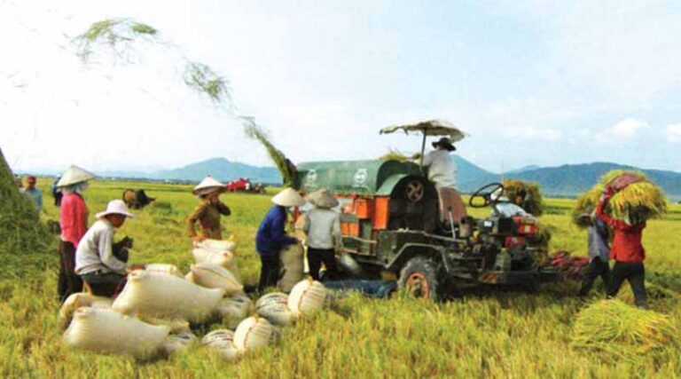 China to buy summer-autumn to support its farmers and push up consumption demand
