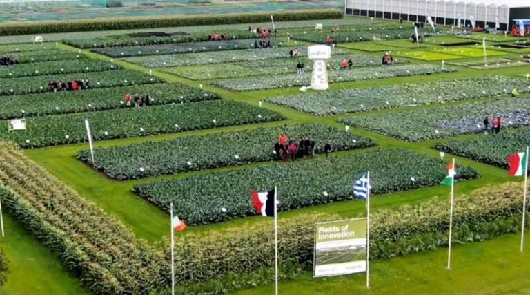 Fields of Innovation 2021 to open in physical and digital format