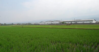 Promoting Organic Farming