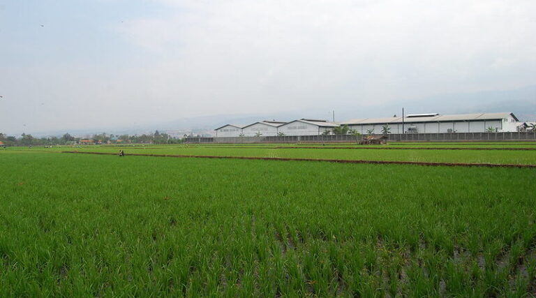 Promoting Organic Farming
