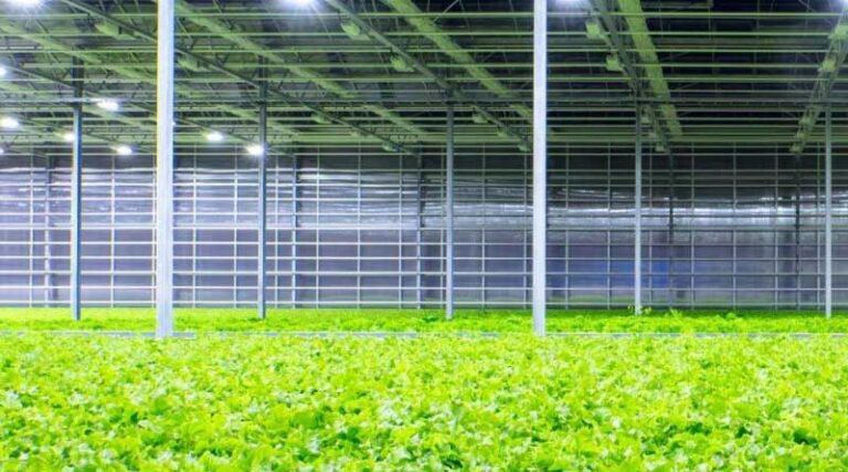 New SecQuAL consortium launches with a mission to bring the farm-to-fork ecosystem into the digital age