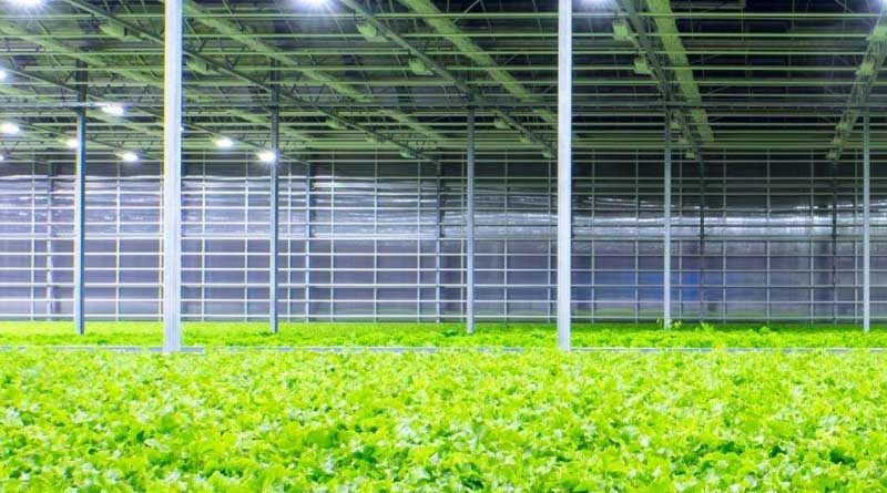 New SecQuAL consortium launches with a mission to bring the farm-to-fork ecosystem into the digital age