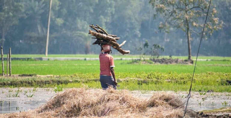 Kharif Sowing update: Sowing touches 10 crore hectares