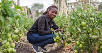 Stakeholders say Global Burden of Crop Loss would help direct future agricultural policy and practice
