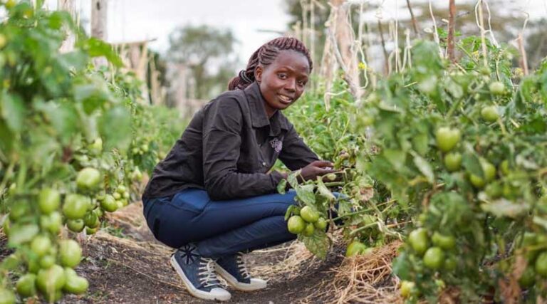Stakeholders say Global Burden of Crop Loss would help direct future agricultural policy and practice