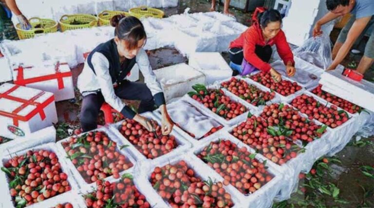 Agricultural produce supplies meet demand for the long-term: MARD