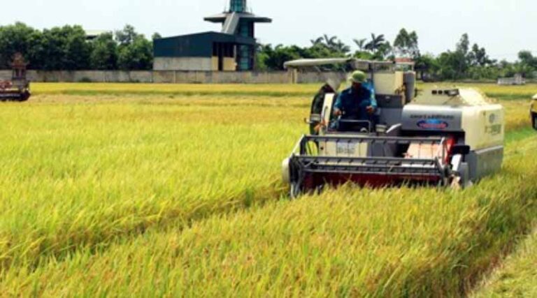 Positive signals from consumption of southern agricultural products