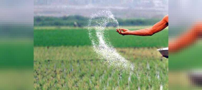 Ensuring Quality Seeds for better Production and Productivity
