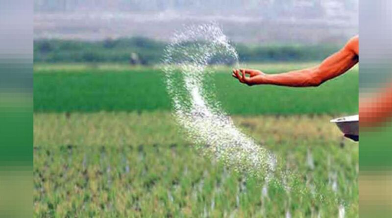 Ensuring Quality Seeds for better Production and Productivity