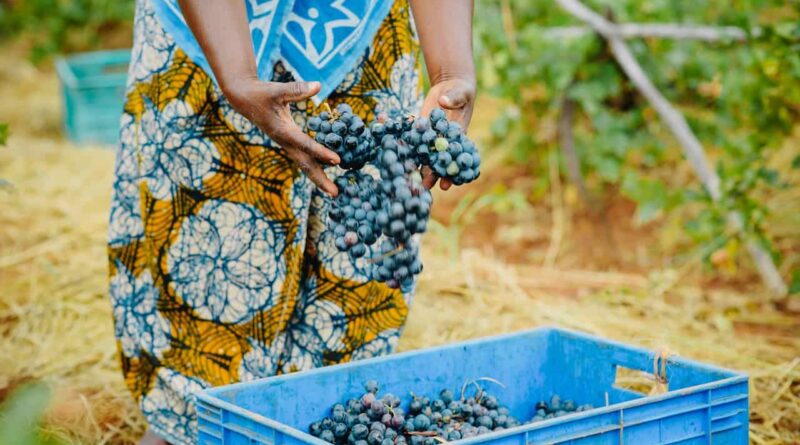 Clarification on Bio-stimulants G-Form released by Ministry of Agriculture