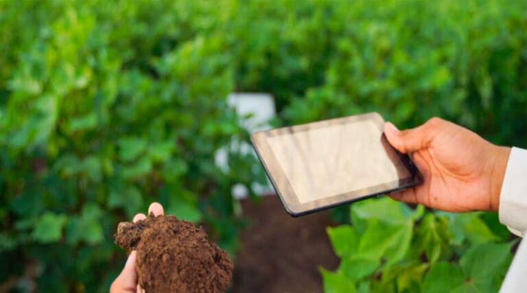 Smartphone cameras offer smallholder farmers promising new access to soil health knowledge