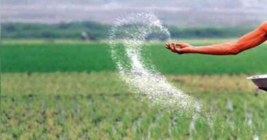 Nano Urea can enhance farmer’s crop yields and save nitrogen to the extent of 50%, shows trials
