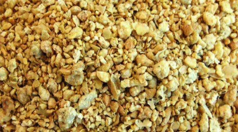 Government relaxes the rules for import of crushed and de-oiled GM soya cake