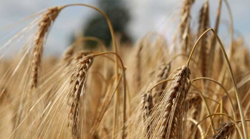 The Bharat Bandh Call Given By Farmers’ Organizations Against The Three Farm Laws Passed Off Peacefully In Haryana