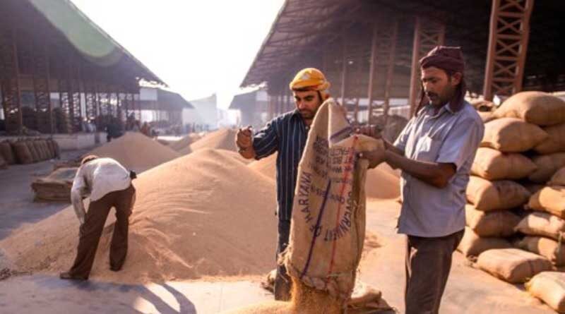 New Global Standards Will Help Spur Trade in Nutrient-Enriched Grains and Foods