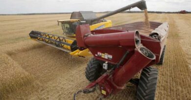Global Glyphosate shortage: Experts blame Covid-19 Pandemic and Logistics