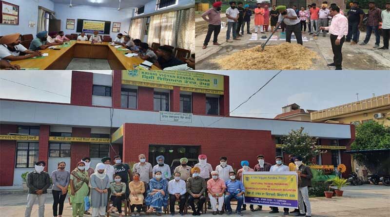 Vocational training on “mushroom cultivation” concludes at KVK Ropar