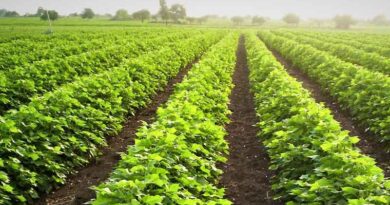 PM Modi releases 35 crop varieties with special traits for the Indian farmers