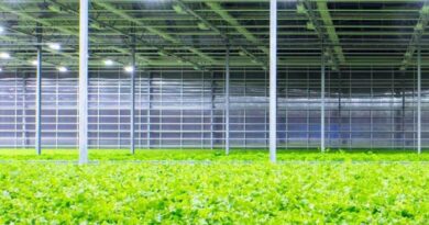 Local pesticide formulator Meibang Pharmaceutical to go public in China